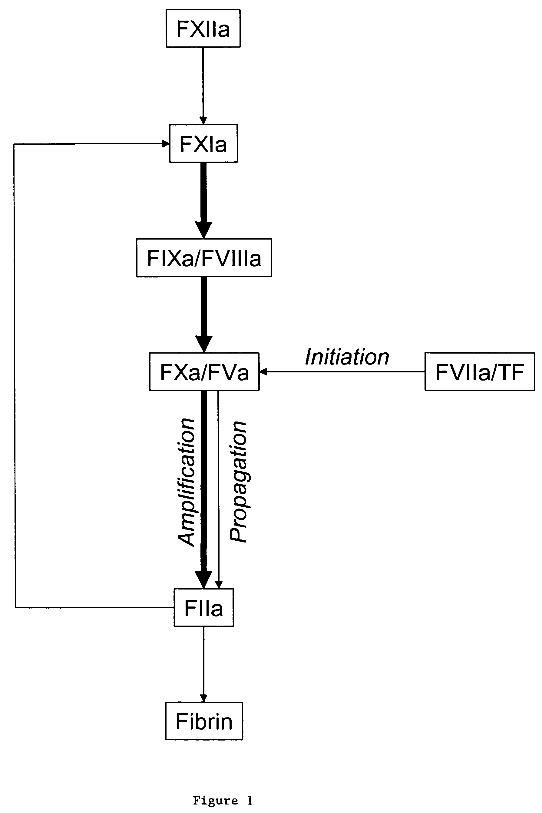Compounds and methods for treatment of thrombosis