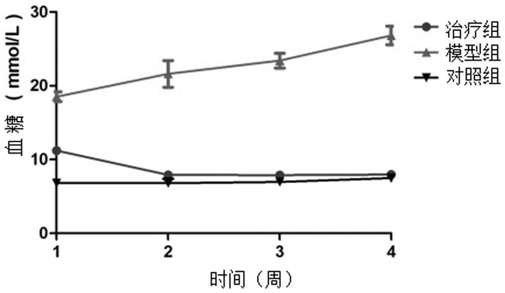 Mesenchymal stem cell preparation as well as preparation method and application thereof