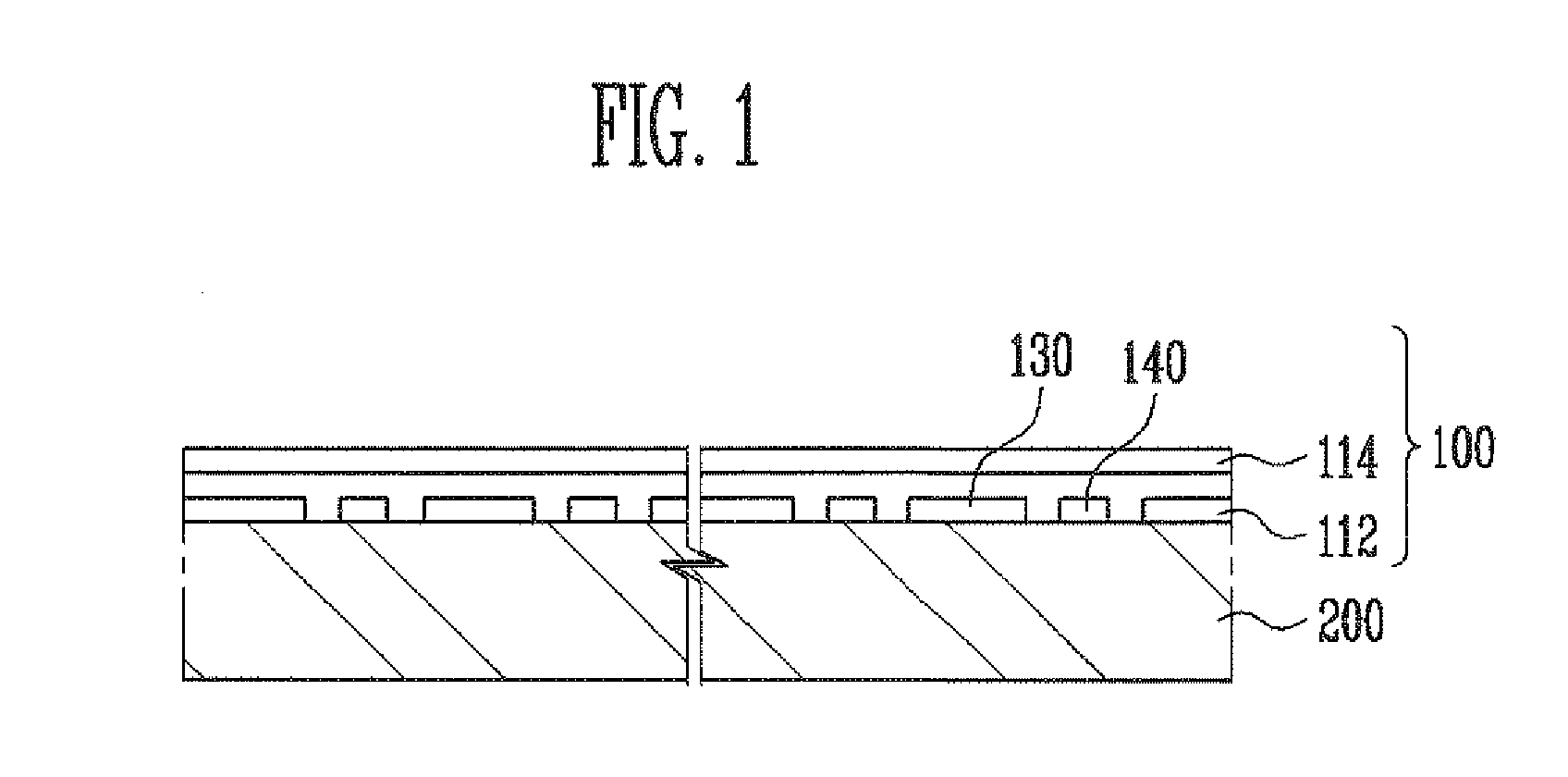Touch Screen Panel and Display Device Having the Same