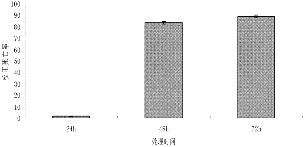 Trichoderma fungus with nematicide activity as well as preparation method and application thereof