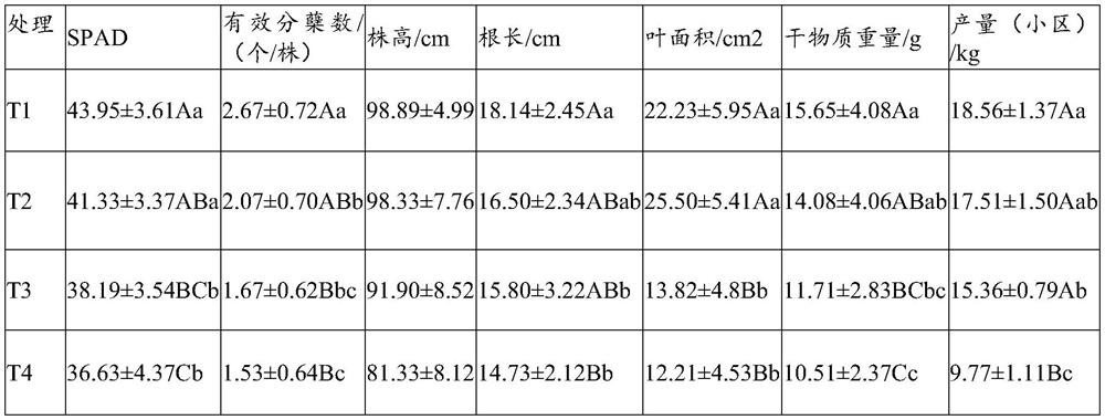 Special bio-organic fertilizer for rice planted in saline-alkali soil and preparation method of special bio-organic fertilizer