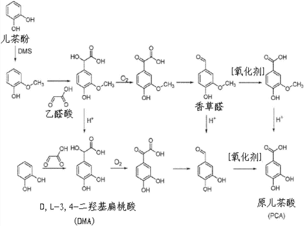 Metal complexes of substituted catecholates and redox flow batteries containing the same