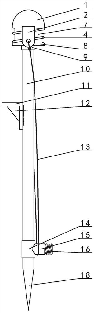 A water spray device for an automatic fire extinguishing appliance