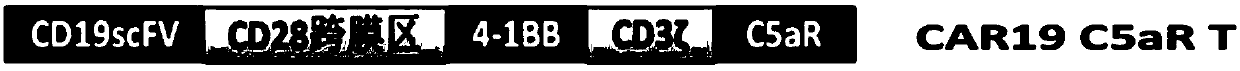 Chimeric antigen receptor containing C5aR intracellular domain, lentiviral vector, expression cell and medicine