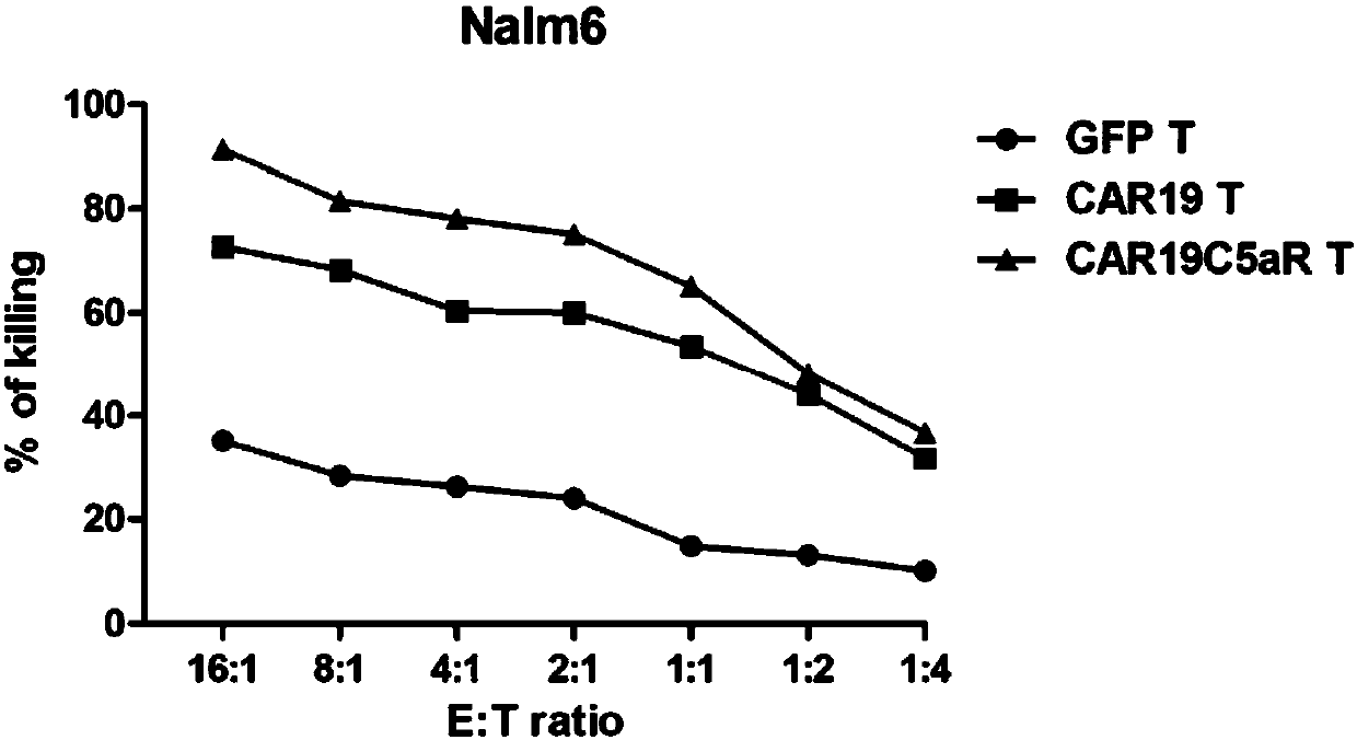 Chimeric antigen receptor containing C5aR intracellular domain, lentiviral vector, expression cell and medicine