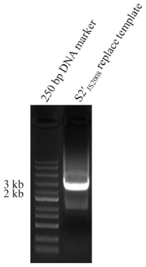 Porcine epidemic diarrhea virus variant strain independent of pancreatin as well as construction and application of porcine epidemic diarrhea virus variant strain