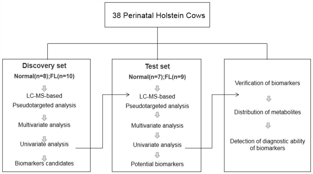 Novel biomarkers for non-invasive identification/warning of fatty liver in dairy cows