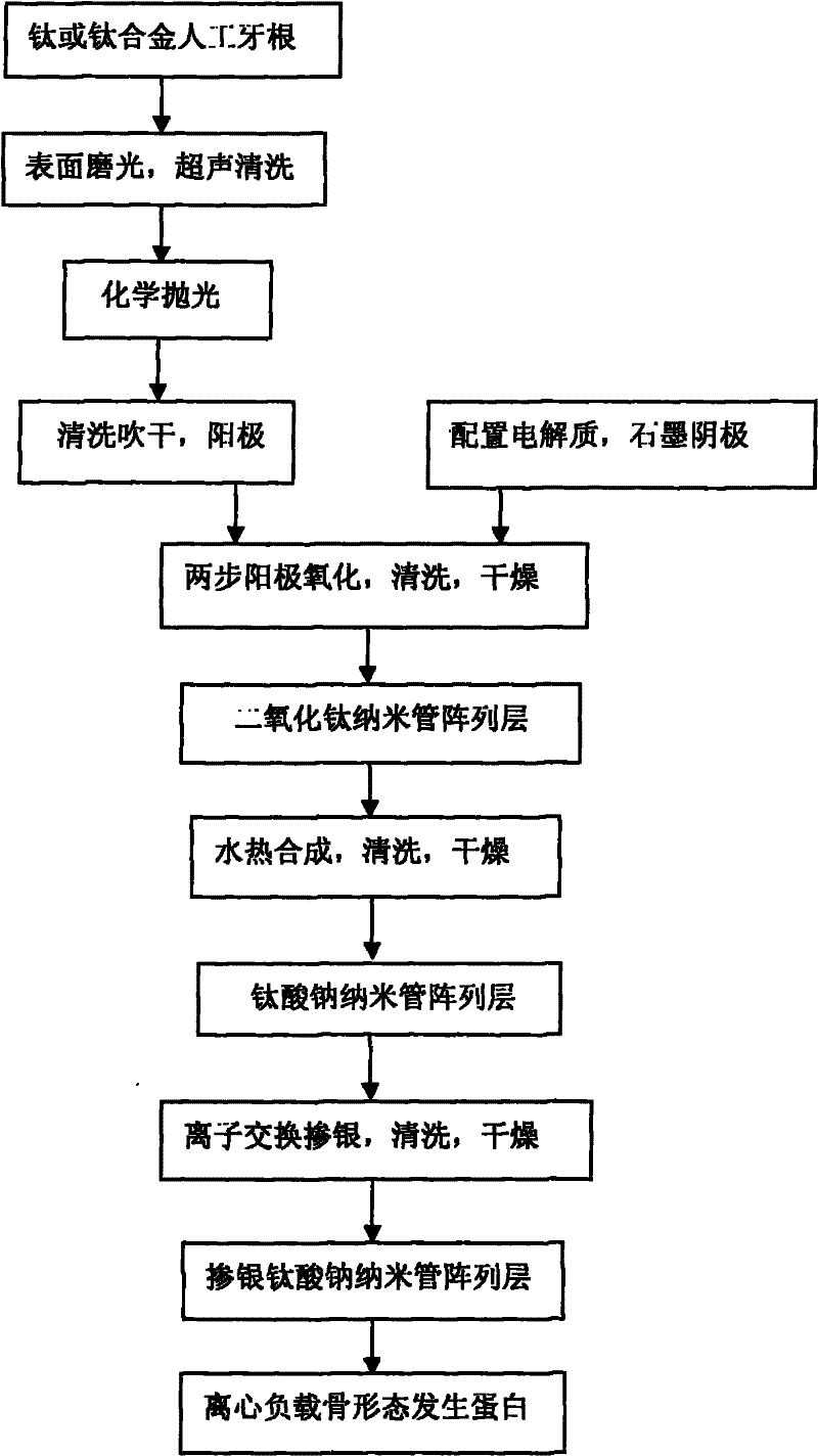 Antimicrobial artificial tooth root based on nanometer tube arrays and preparation method thereof