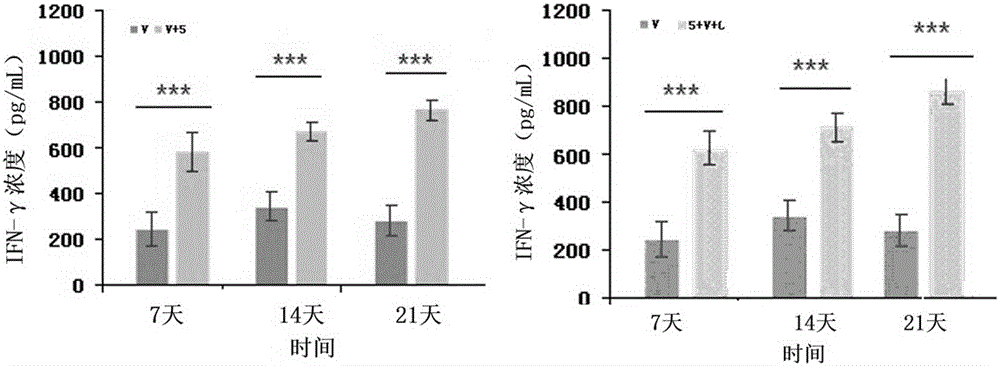 Application of 3'-deoxyadenosine in preparation of immune adjuvant for broad-spectrum vaccine synergism