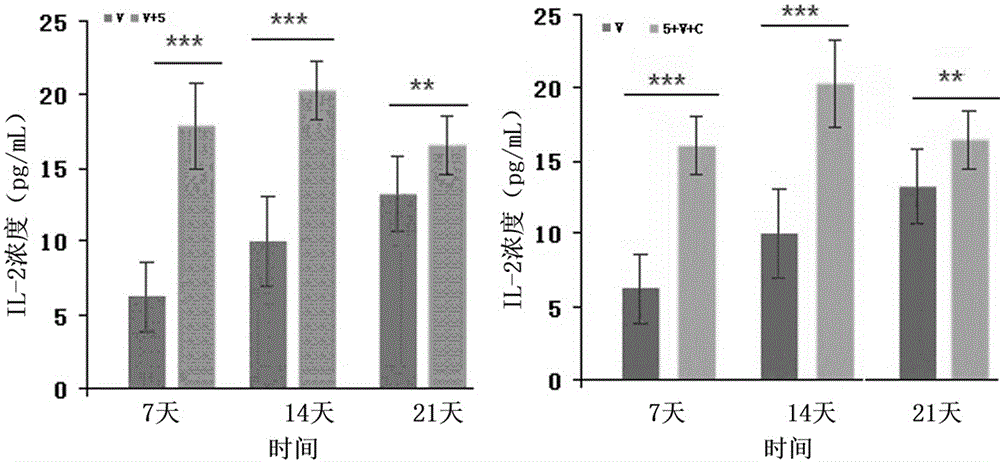 Application of 3'-deoxyadenosine in preparation of immune adjuvant for broad-spectrum vaccine synergism