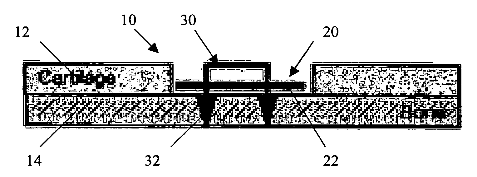 Viable tissue repair implants and methods of use