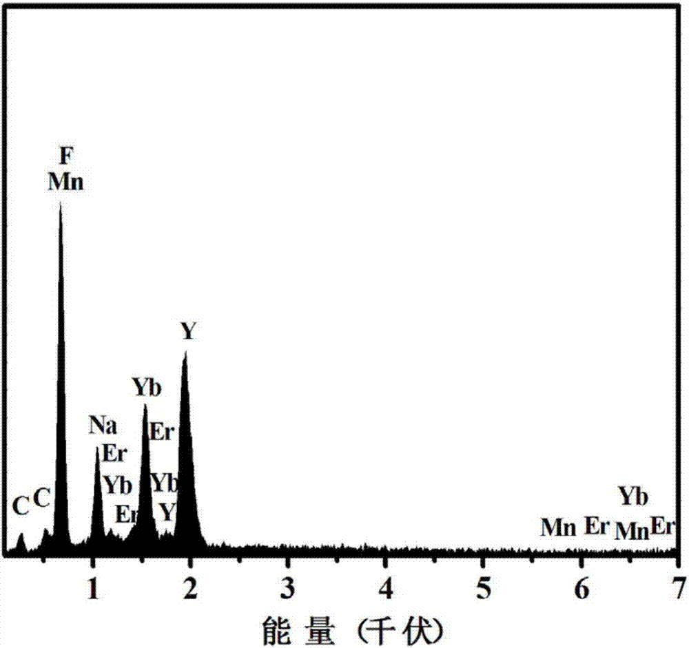 Up-conversion luminescence nanometer material modified by manganese dioxide nanosheet, preparation method thereof, detection method of hydrogen peroxide or choline and application