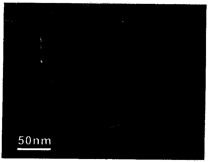 Electrochemical insertion/deinsertion magnesium ion electrode with high capacity and stable circulation and preparation method