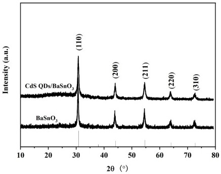 Photocatalyst taking barium stannate as carrier to load cadmium sulfide quantum dots as well as preparation method and application of photocatalyst