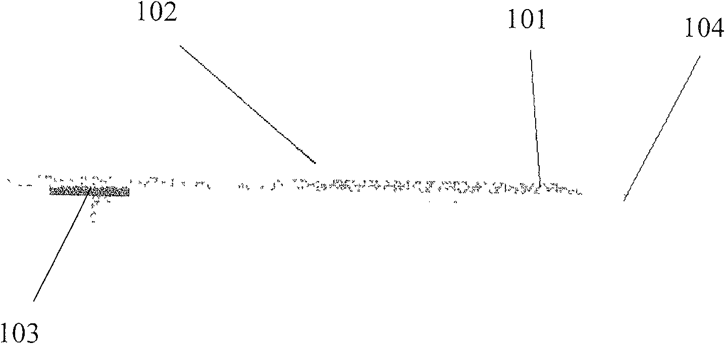 Bio-electrical impedance measuring electrode and measuring method