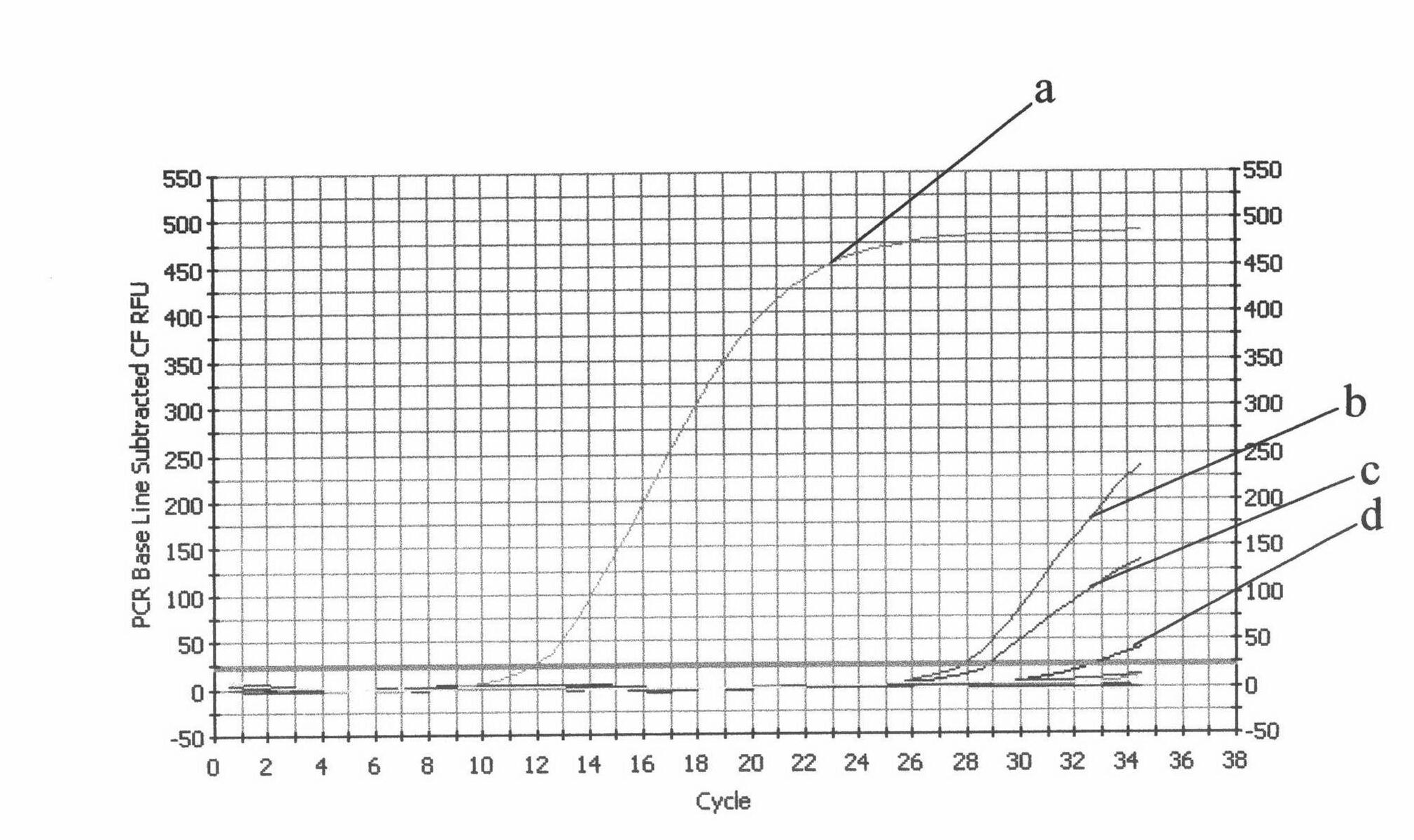 Method for quickly concentrating viruses in water body
