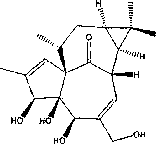 Preparation method of euphorbia peplus plant extract for preparing antitumor medicament