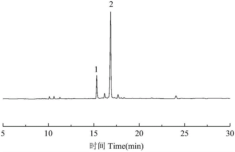 Preparation and separation method of high-purity p-acrylic pimaric acid