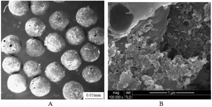 Spherical porous adsorbent based on carbon nanotubes as well as preparation method and application of spherical porous adsorbent