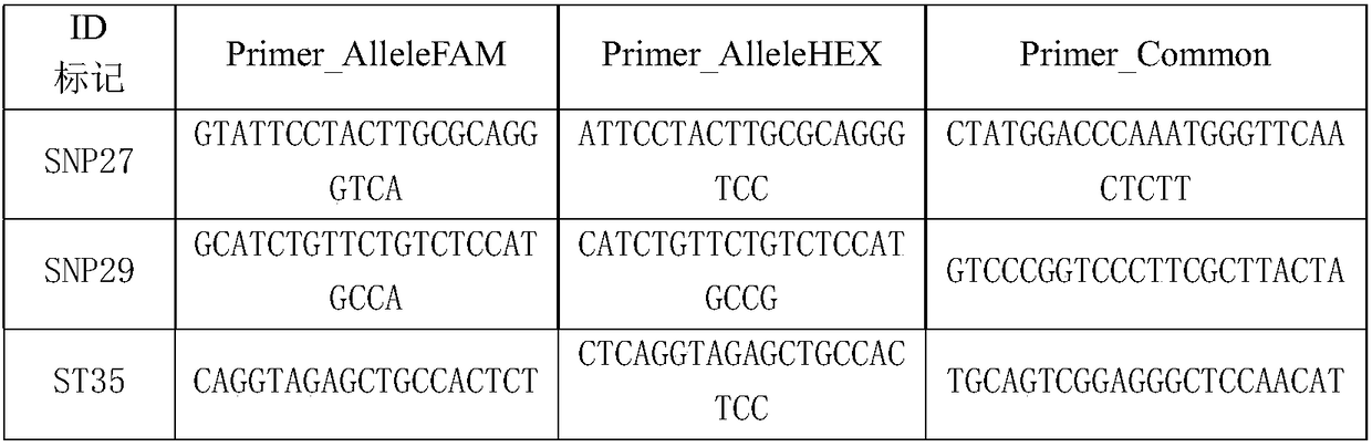 Corn salt-tolerant gene and molecular marker and application thereof