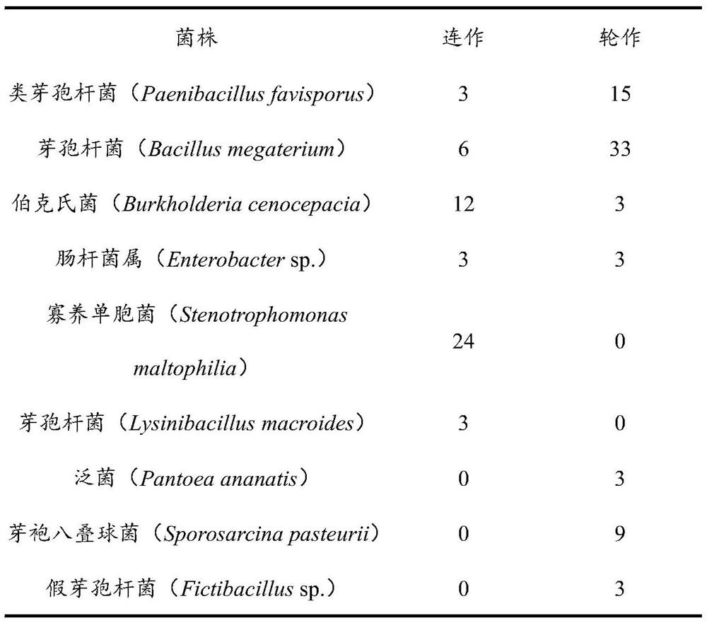 Complex flora for preventing and treating peanut root rot and application thereof