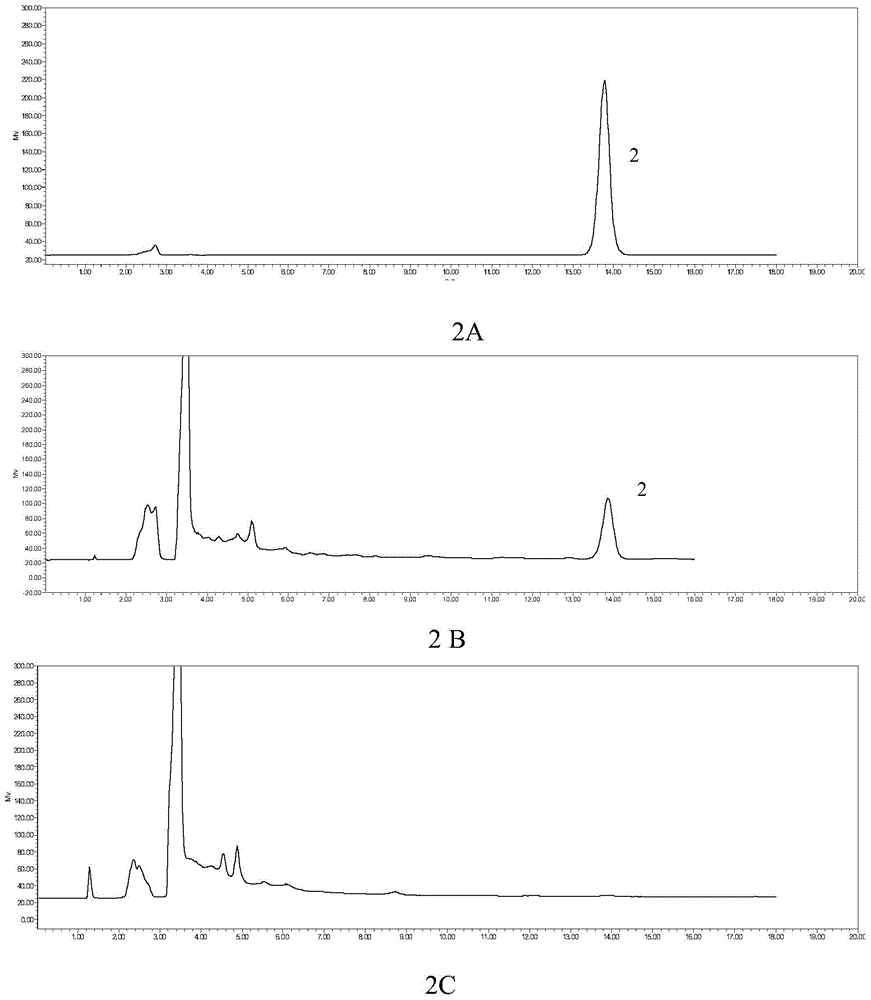 A method for detecting epilepsy recovery of a pharmaceutical composition for treating epileptic convulsions, infantile convulsions, and hemifacial spasm