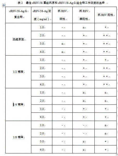 Recombinant syncytial virus protein and application thereof