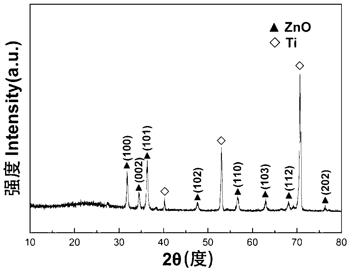 Rhombus zinc oxide nanorod array and preparation method thereof