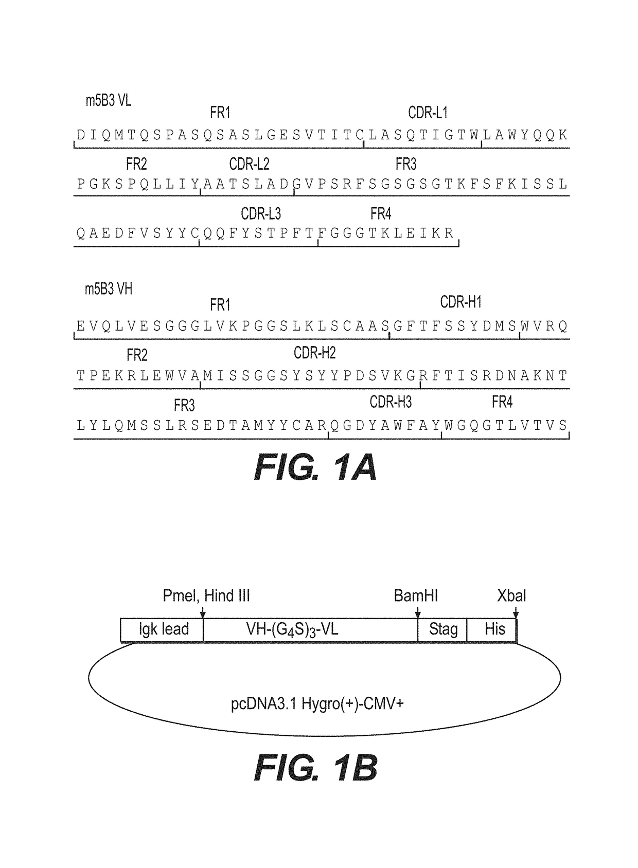 Antibodies against F glycoprotein of Hendra and Nipah viruses