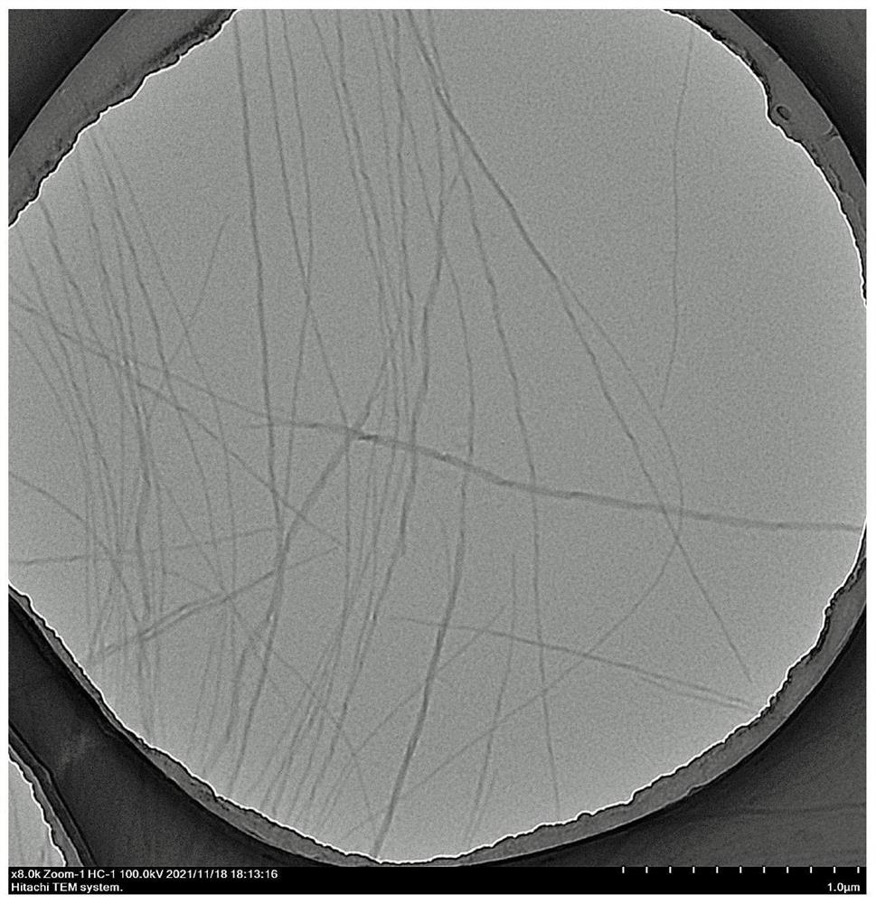 Application of resin-based protein composite material in purifying complex-state heavy metals in water