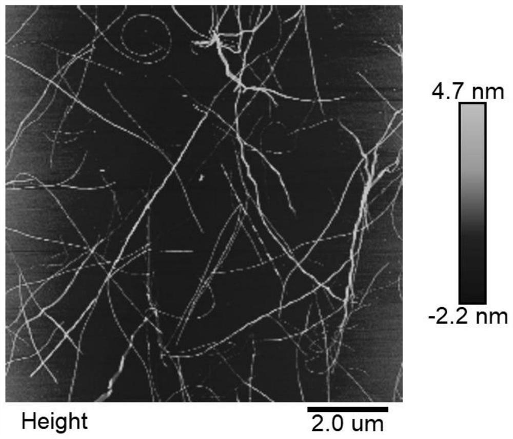 Application of resin-based protein composite material in purifying complex-state heavy metals in water