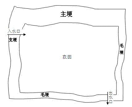 Method for controlling nitrogen and phosphorous non-point source pollution of cropland by using biological ridge