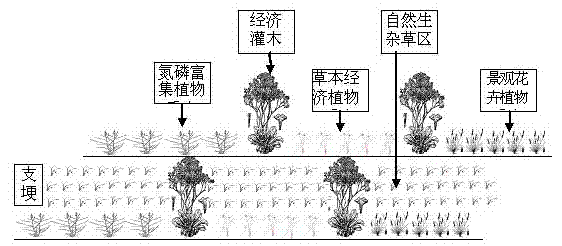 Method for controlling nitrogen and phosphorous non-point source pollution of cropland by using biological ridge