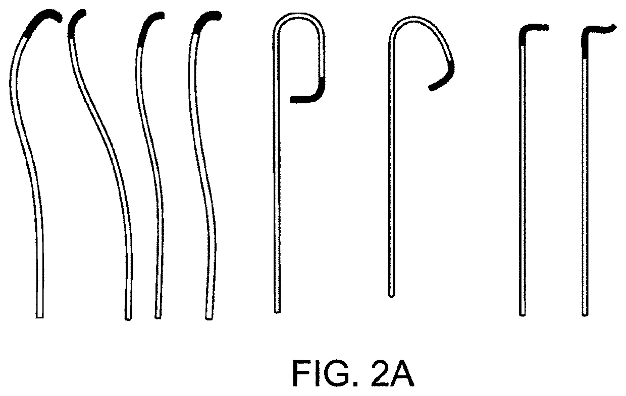 Endovascular catheter with controllable tip
