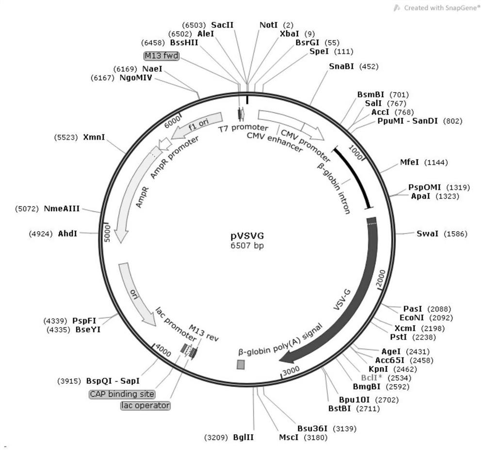 Canine distemper virus sensitive cell line slam-mdck and its construction method and application