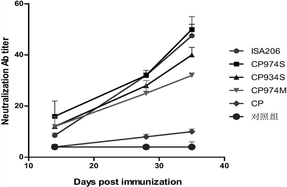 Novel water soluble composite immune adjuvant and porcine circovirus disease vaccine
