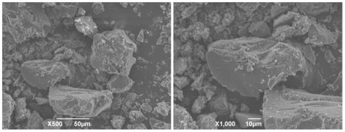 A kind of microwave carbonized persimmon skin biosorbent and its preparation method and application