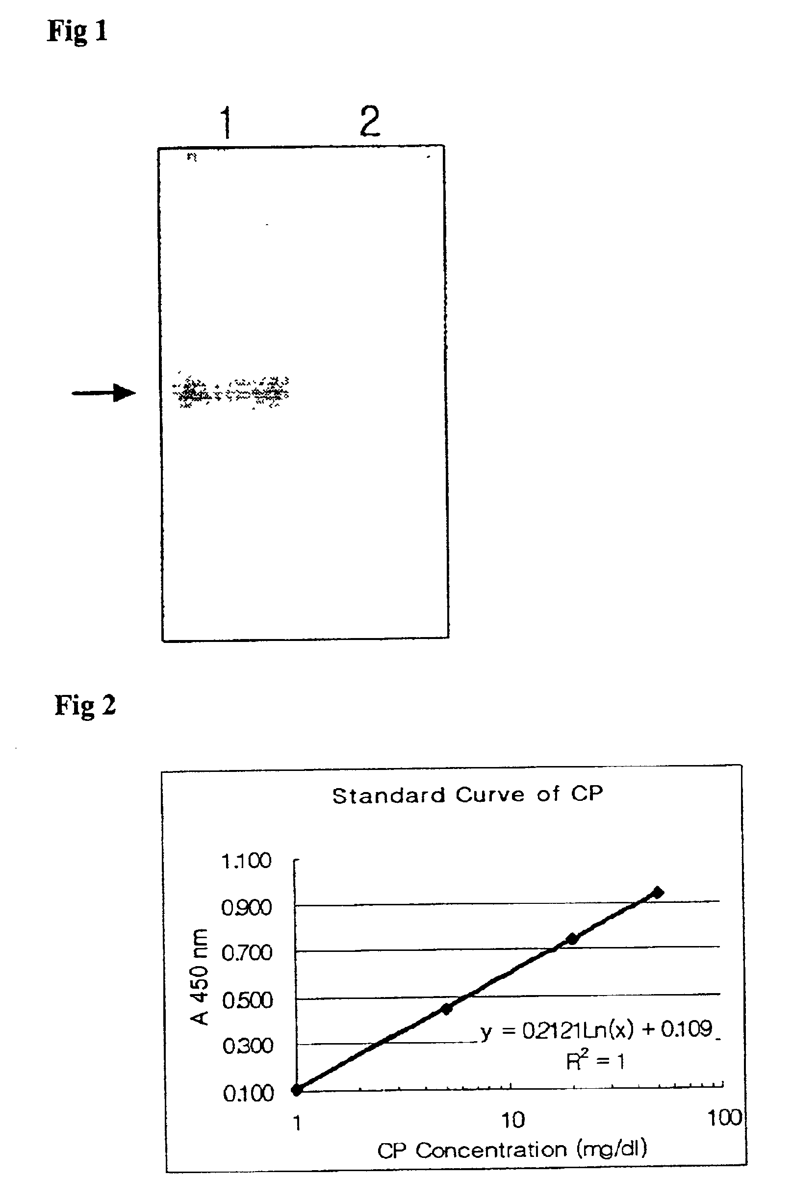 Method of measuring ceruloplasmin concentration in a blood spot, kit and method of diagnosing Wilson's disease