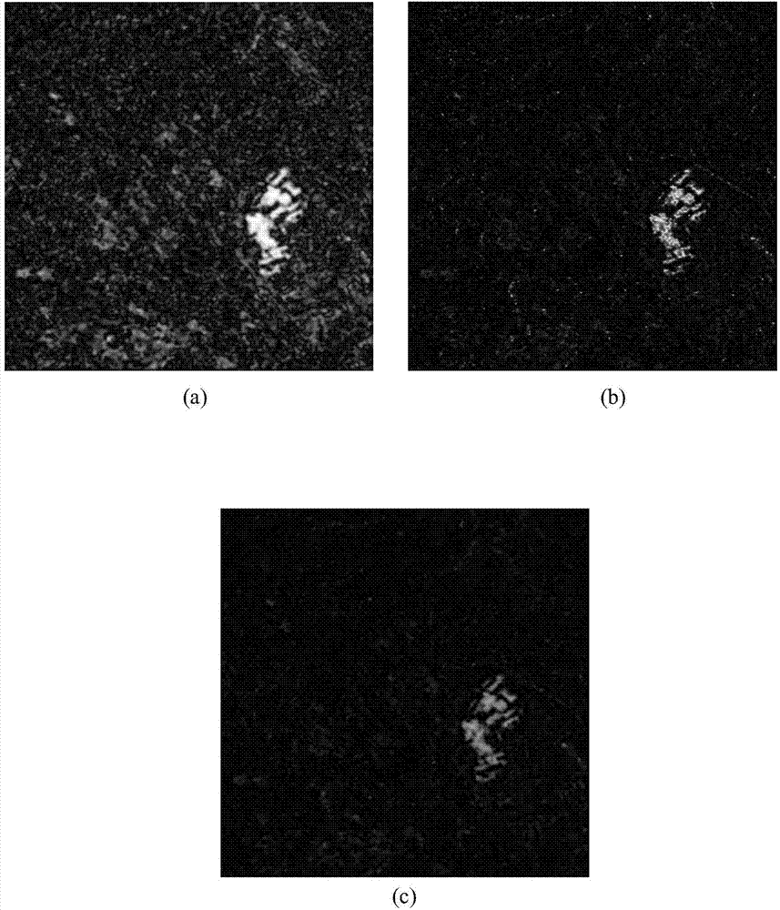 SAR image change detection method based on oriented difference chart