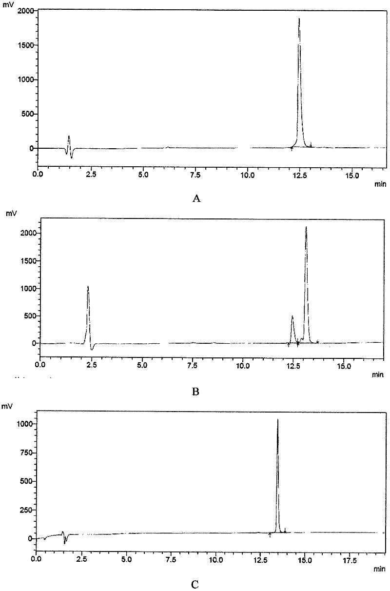 Human insulin/analogue conjugate with continuous blood sugar reduction function and high rate of combination with receptor