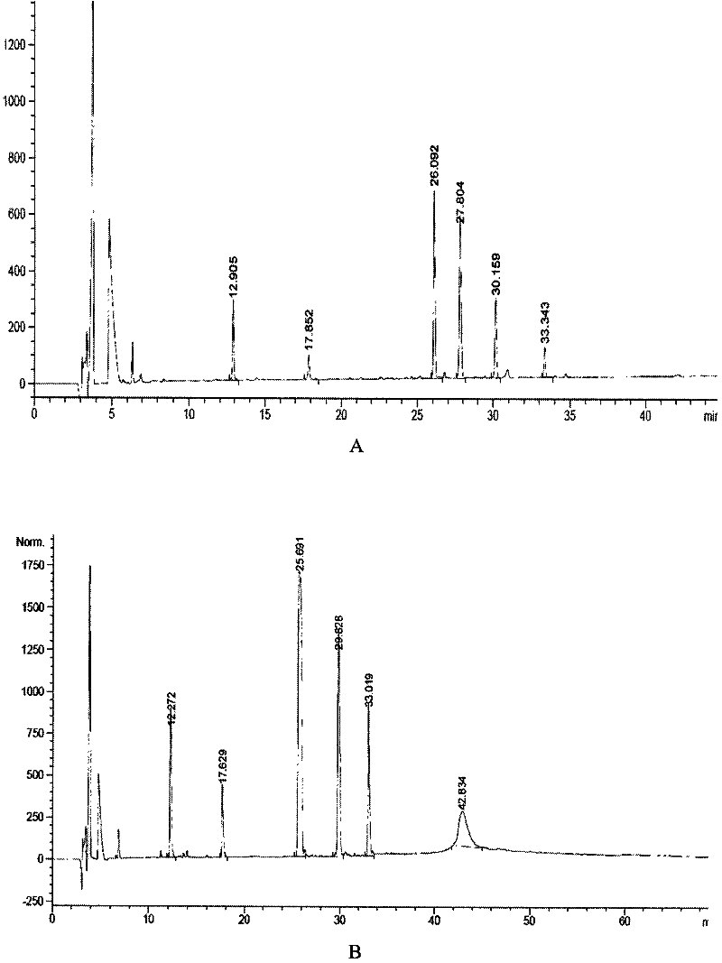 Human insulin/analogue conjugate with continuous blood sugar reduction function and high rate of combination with receptor