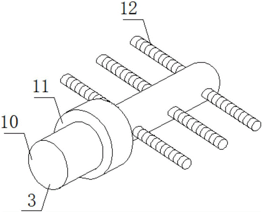 Cleaning and peeling device used for peony roots in agriculture