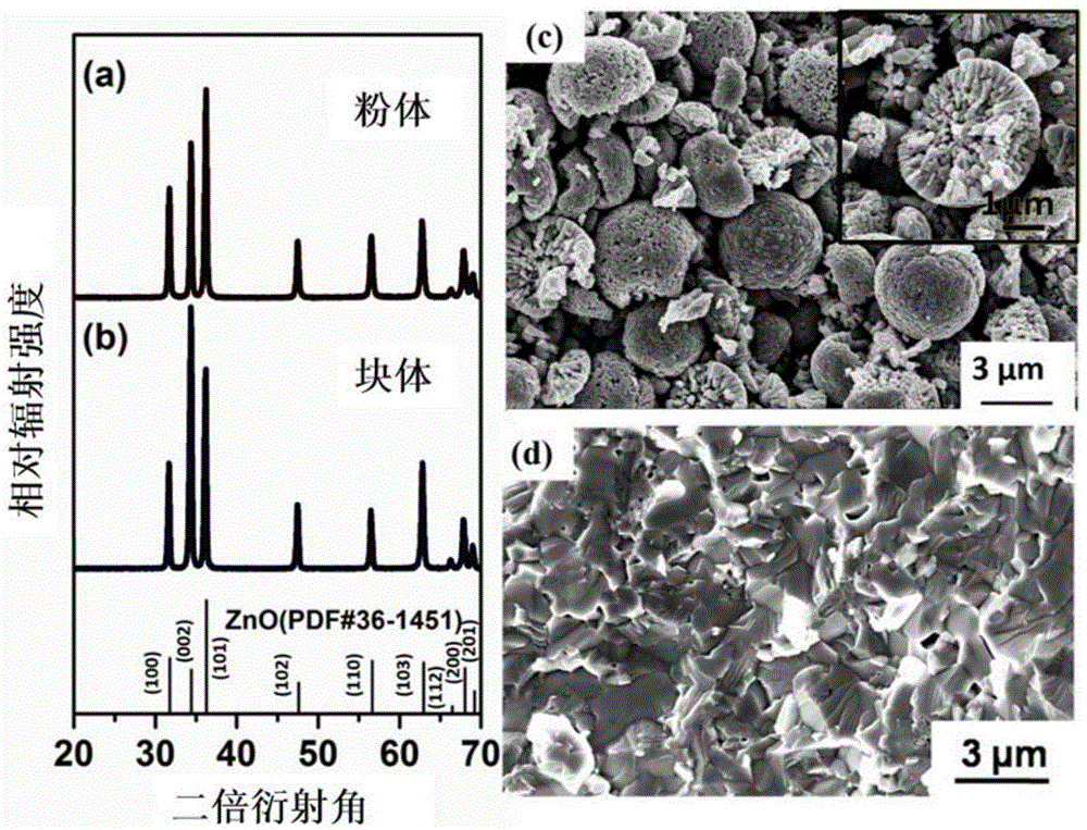 A kind of preparation method of Ni-doped ZNO textured thermoelectric material