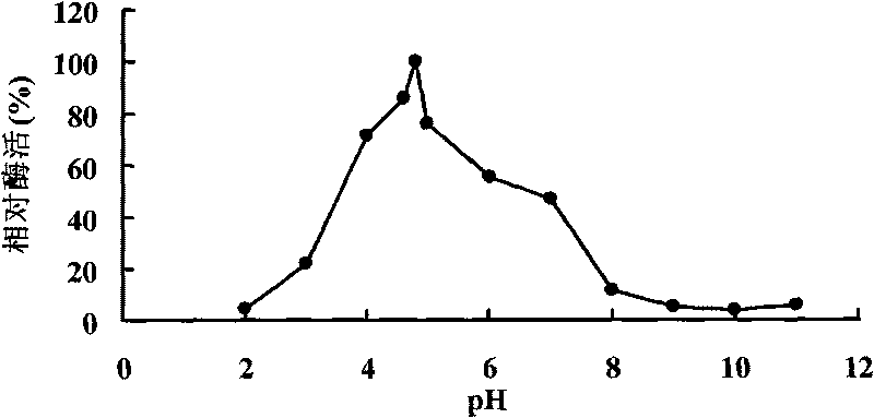 Novel antiprotease acid alpha-galactosidase AGA36 and gene and application thereof