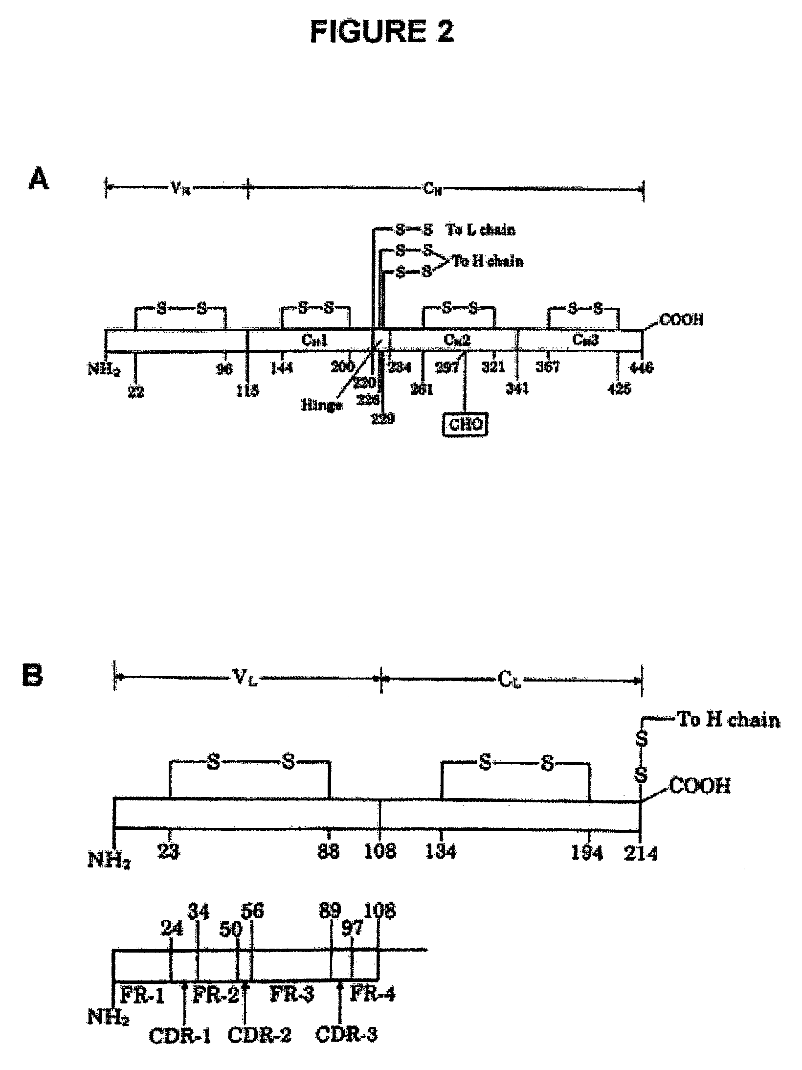 Method for producing polymers having a preselected activity