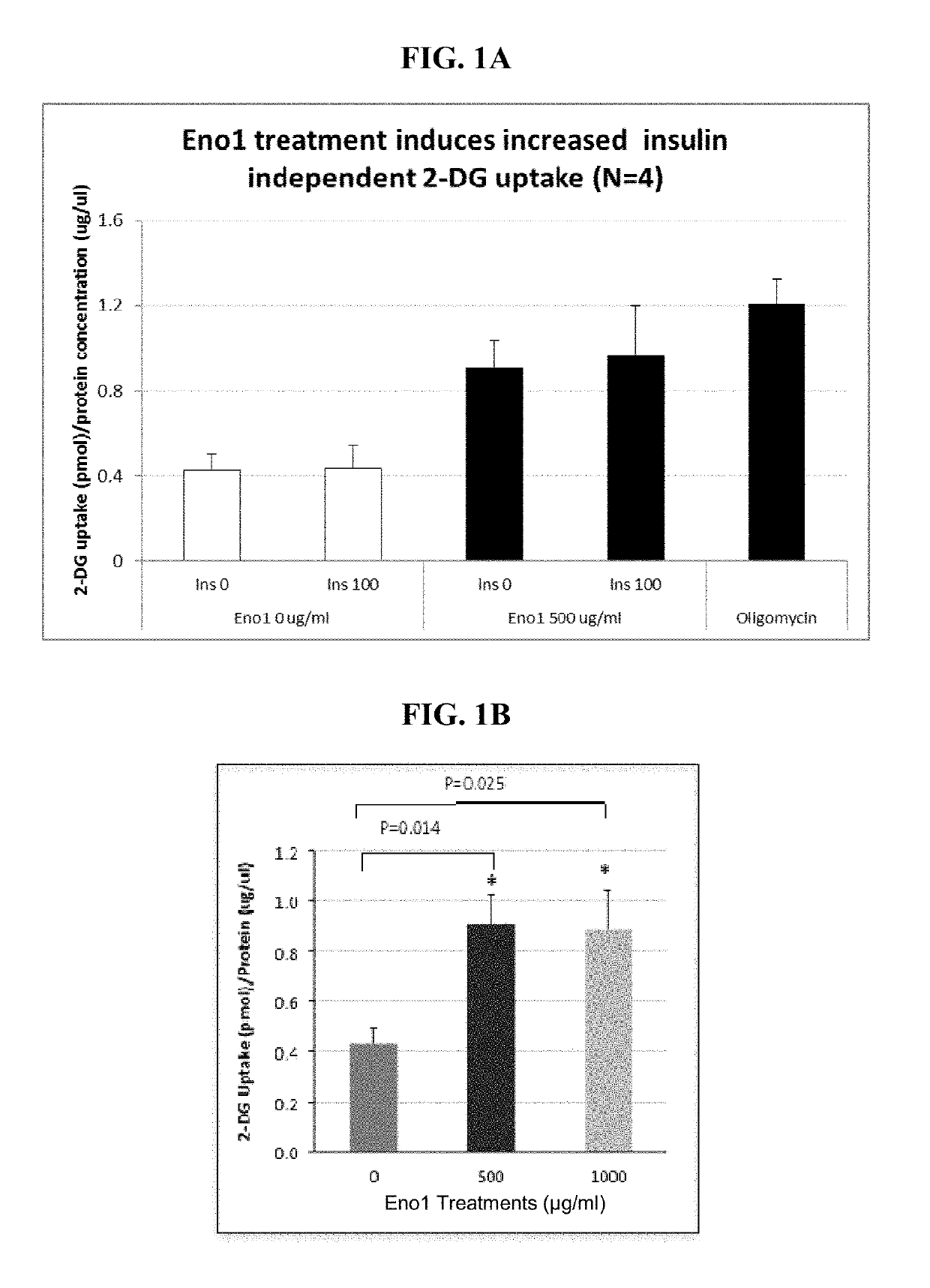 Enolase 1 (ENO1) compositions and uses thereof