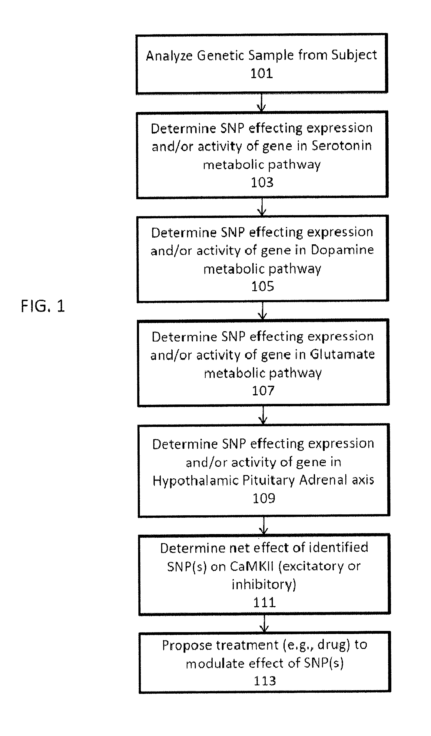 Methods for assessment and treatment of mood disorders via single nucleotide polymorphisms analysis
