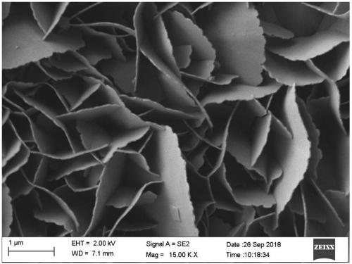 Oxalate nanosheet array thin-film electrode and preparation method thereof