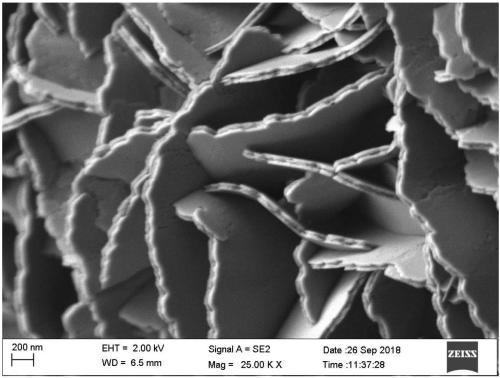 Oxalate nanosheet array thin-film electrode and preparation method thereof