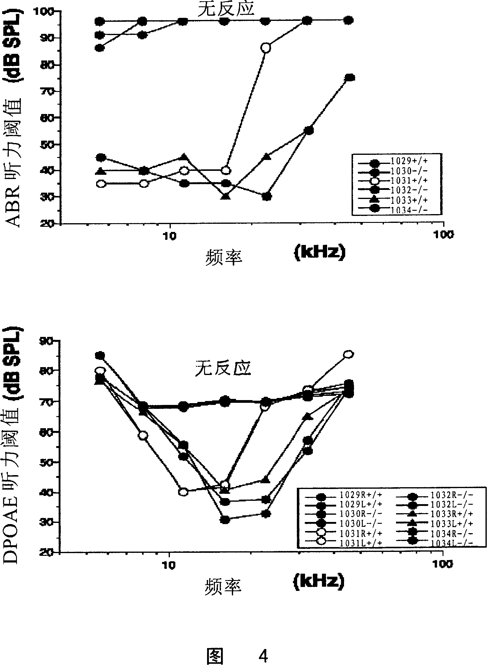 Zinc finger protein DPZF gene knock-out mice model and its usage